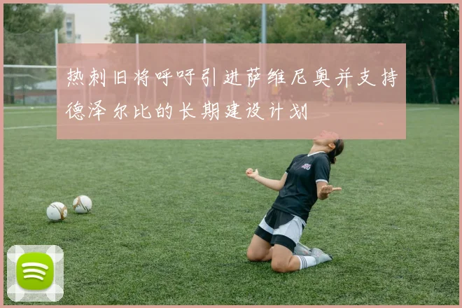 热刺旧将呼吁引进萨维尼奥并支持德泽尔比的长期建设计划