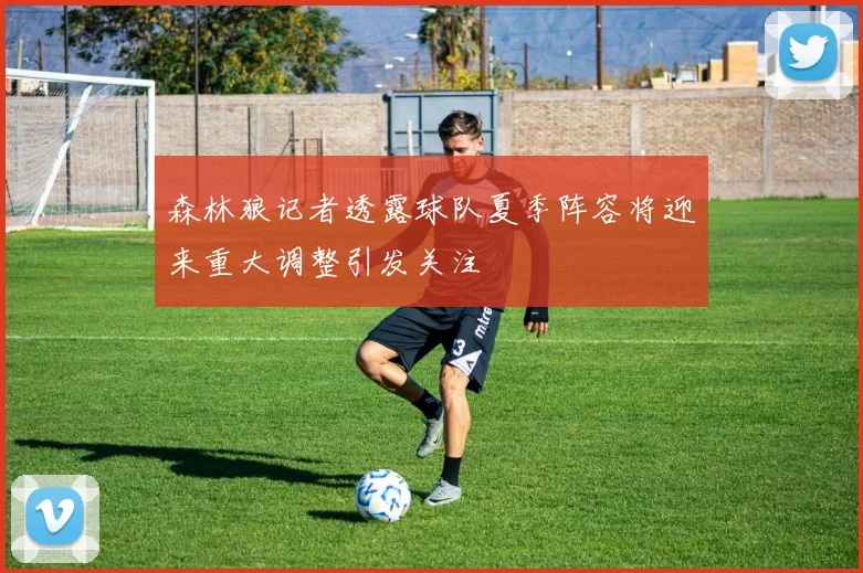 森林狼记者透露球队夏季阵容将迎来重大调整引发关注