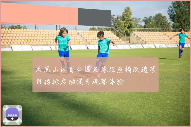 凤凰山体育公园足球场座椅改造项目招标启动提升观赛体验